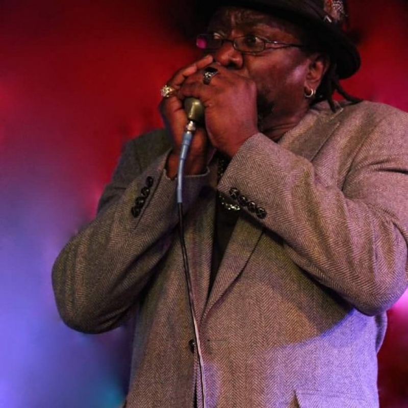 Roharpo The Bluesman - I'm Fallin