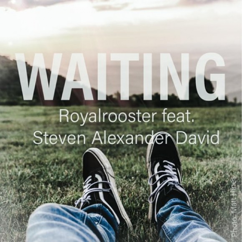 Steven Alexander - Wait